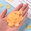 Transparent Frosted Acrylic Pendants MACR-S371-03A-719-5