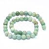 Natural Amazonite Beads Strands G-F632-25-02-1