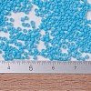 MIYUKI Delica Beads X-SEED-J020-DB0755-4
