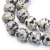 Natural Dalmatian Jasper Beads Strands X-GSR12mmC004-2