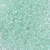 6/0 Glass Seed Beads SEED-A015-4mm-2213-2