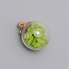 Transparent Glass Globe Pendants GLAA-WH0026-01E-1
