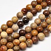 Natural Petrified Wood Round Bead Strands G-F266-08-10mm-1