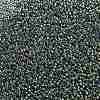 TOHO 11/0 Round Beads X-SEED-TR11-0990-2
