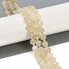 Natural Lemon Jade Beads Strands G-H057-A04-01-2