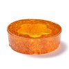 Resin with Natural Citrine Chip Stones Ashtray DJEW-F015-05H-3