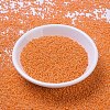 MIYUKI Round Rocailles Beads SEED-G007-RR0473-2
