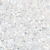 Two Cut Glass Seed Beads X-CSDBTC01-2