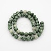 Natural Green Spot Jasper Round Bead Strands G-P070-45-6mm-2