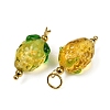 304 Stainless Steel with Handmade Lampwork Pendants STAS-Q352-02G-B-2