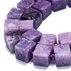 Natural Lepidolite/Purple Mica Stone Beads Strands G-K245-F01-01-3