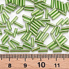 Plated Glass Bugle Beads SEED-S046-01B-49A-4