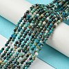 Natural Chrysocolla Beads Strands G-Z034-A03-01-2