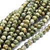 Natural Rhyolite Jasper Beads Strands G-F674-03A-6mm-1