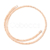 Natural Freshwater Shell Beads Strands SHEL-P017-01A-12-2