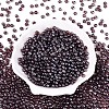 Transparent Glass Seed Beads SEED-N007-33A-10-2
