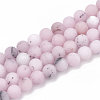 Natural Cherry Blossom Jasper Beads Strands G-T106-276-1