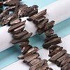 Natural Quartz Crystal Points Beads Strands G-K181-B29-4