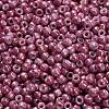 TOHO 6/0 Round Beads SEED-XTR06-1202-4