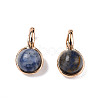Natural Blue Spot Jasper Charms G-N326-141A-3