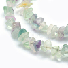 Natural Fluorite Beads Strands G-P332-27-2