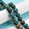 Natural Chrysocolla Beads Strands G-P503-6MM-05-2