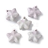 Natural Rainbow Alashan Agate Charms G-G194-02B-1