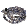 Natural Iolite Beads Strands G-P497-01A-13-3