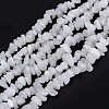 Natural White Jade Beads Strands G-G011-02-2