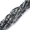 Natural Eagle Eye Stone Beads Strands G-A026-A02-2mm-1