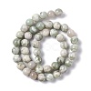 Natural Peace Jade Beads Strands G-G905-07-6MM-3