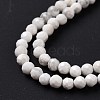 Natural Howlite Beads Strands G-H273-02A-5