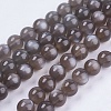Natural Black Moonstone Beads Strands G-J157-12mm-05-3