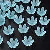 Transparent Acrylic Beads MACR-S373-47-D07-1