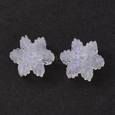 Transparent Acrylic Beads OACR-P007-30-1