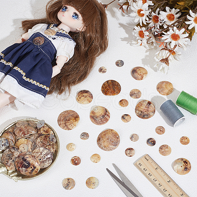 90Pcs 6 Styles Freshwater Shell Buttons SHEL-PH0001-62-1