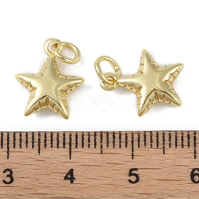 Brass Pendant with Jump Rings KK-O147-01A-G-1