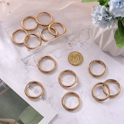 SUNNYCLUE 16Pcs Zinc Alloy Spring Gate Rings FIND-SC0005-16-1