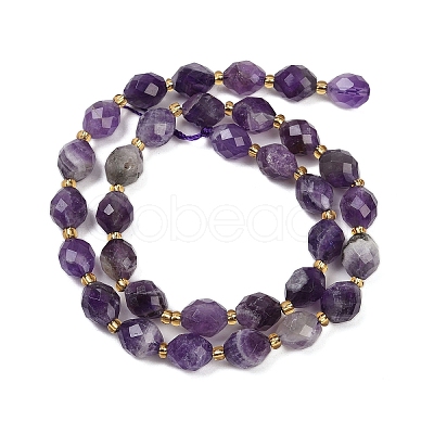 Natural Amethyst Beads Strands G-N342-149G-1