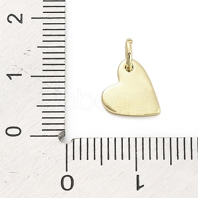 Brass Enamel Pendants KK-H527-01A-G01-1