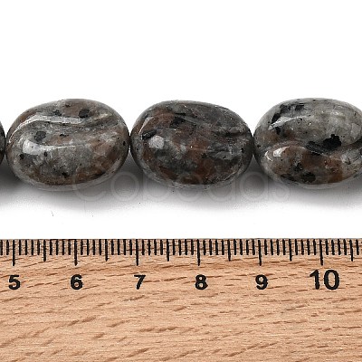 Natural Fluorescent Syenite Rock(Glow under UV Light) Beads Strands G-K362-D02-03-1