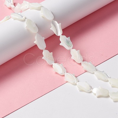 Natural Trochid Shell/Trochus Shell Beads SSHEL-O001-23B-1