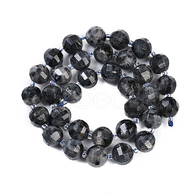 Natural Larvilite Beads Strands G-G182-B03-05-1