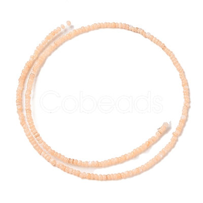 Natural Freshwater Shell Beads Strands SHEL-P017-01A-12-1