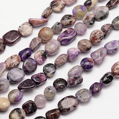 Natural Charoite Bead Strands G-L459-02-1