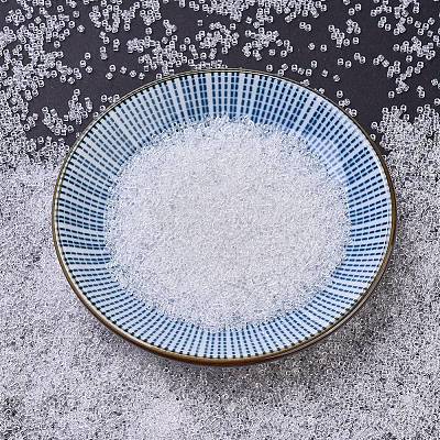 MIYUKI Delica Beads Small X-SEED-J020-DBS0141-1