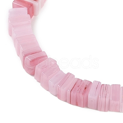 Handmade Lampwork Beads Strands LAMP-Q037-02B-03-1