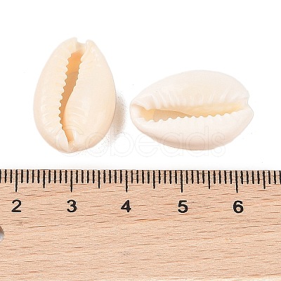 Natural Cowrie Shell Beads BSHE-Q296-1-1