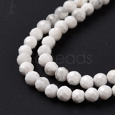 Natural Howlite Beads Strands G-H273-02A-1