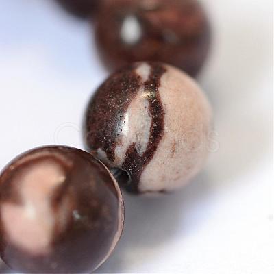 Natural Zebra Jasper Round Bead Strands G-E334-6mm-12-1